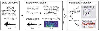 Encoding and Decoding Models in Cognitive Electrophysiology